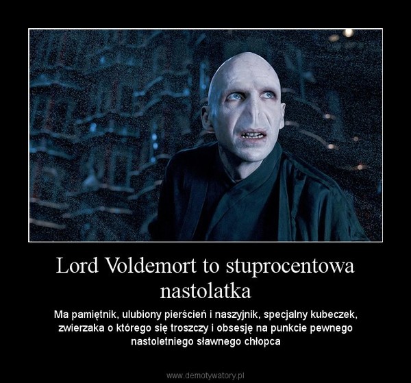 Lord Voldemort to stuprocentowa nastolatka – Ma pamiętnik, ulubiony pierścień i naszyjnik, specjalny kubeczek, zwierzaka o którego się troszczy i obsesję na punkcie pewnego nastoletniego sławnego chłopca 