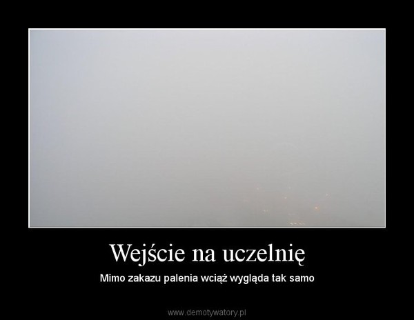 Wejście na uczelnię – Mimo zakazu palenia wciąż wygląda tak samo 