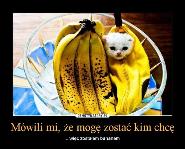 Mówili mi, że mogę zostać kim chcę – ...więc zostałem bananem 