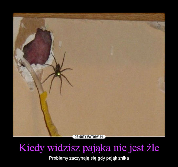 Kiedy widzisz pająka nie jest źle
