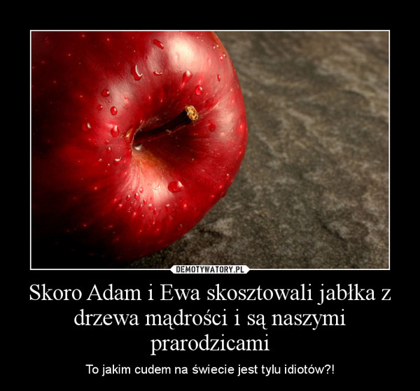 Skoro Adam i Ewa skosztowali jabłka z drzewa mądrości i są naszymi prarodzicami – To jakim cudem na świecie jest tylu idiotów?! 