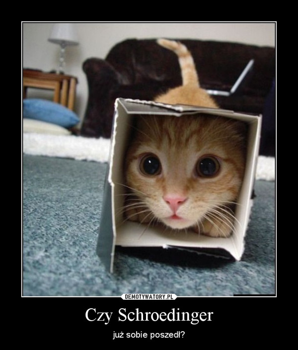 Czy Schroedinger