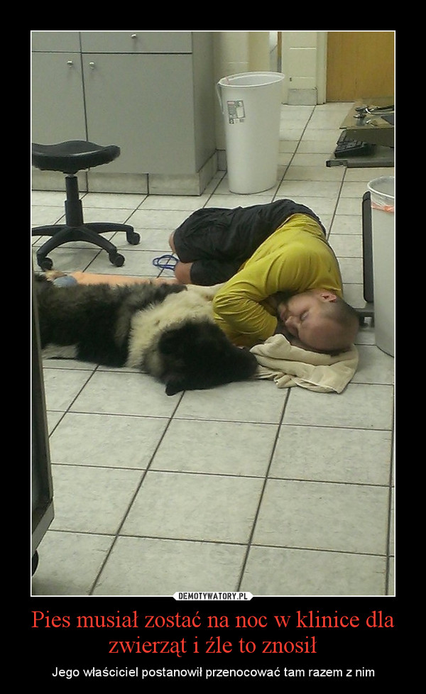 Pies musiał zostać na noc w klinice dla zwierząt i źle to znosił – Jego właściciel postanowił przenocować tam razem z nim 