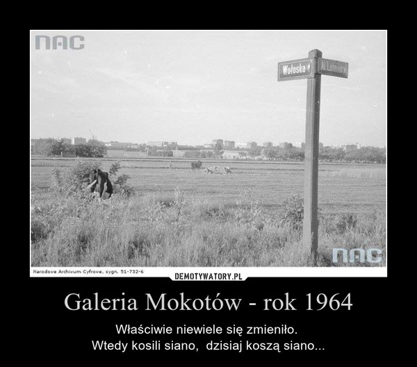 Galeria Mokotów - rok 1964 – Właściwie niewiele się zmieniło. Wtedy kosili siano,  dzisiaj koszą siano... 
