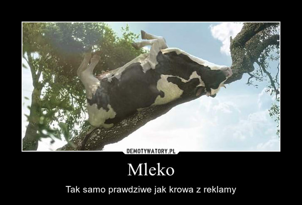 Mleko – Tak samo prawdziwe jak krowa z reklamy 