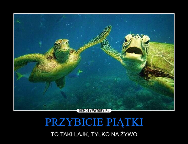 PRZYBICIE PIĄTKI – TO TAKI LAJK, TYLKO NA ŻYWO 