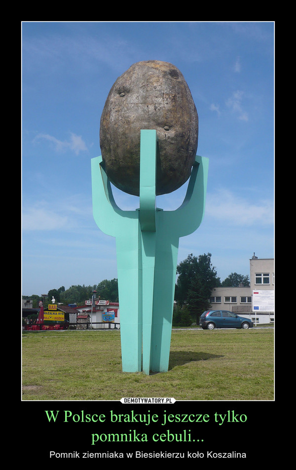 W Polsce brakuje jeszcze tylko pomnika cebuli... – Pomnik ziemniaka w Biesiekierzu koło Koszalina 