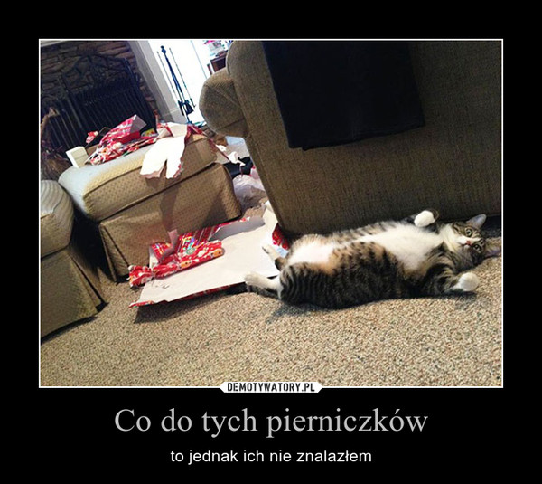 Co do tych pierniczków – to jednak ich nie znalazłem 