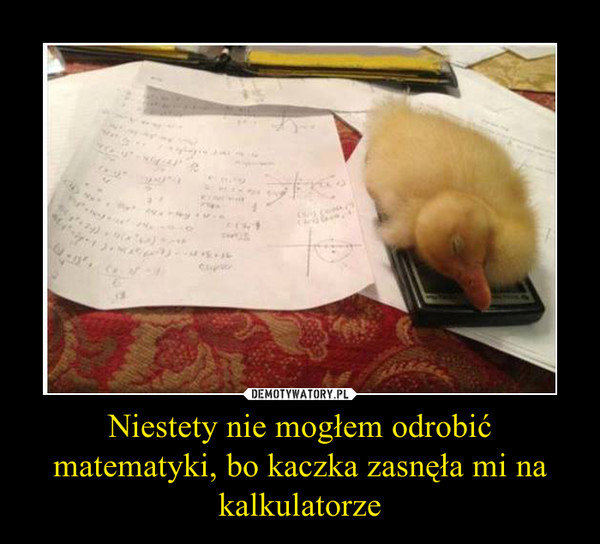 Niestety nie mogłem odrobić matematyki, bo kaczka zasnęła mi na kalkulatorze –  