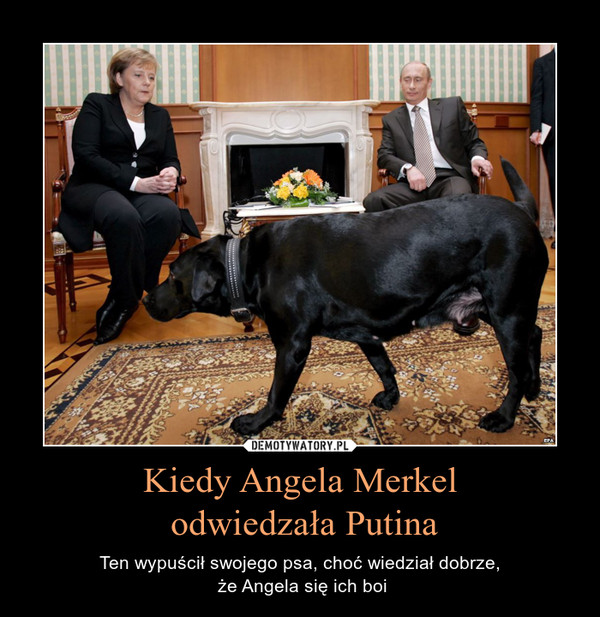 Kiedy Angela Merkel odwiedzała Putina – Ten wypuścił swojego psa, choć wiedział dobrze, że Angela się ich boi 