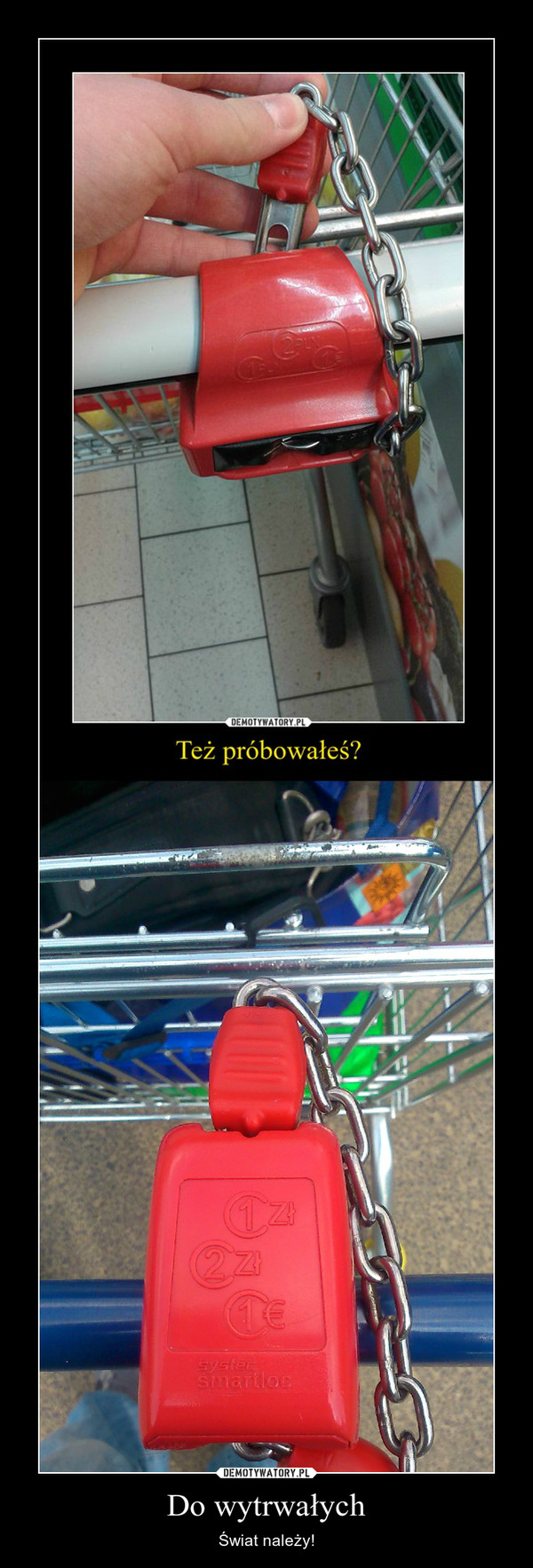 Do wytrwałych – Świat należy! 