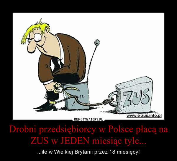Drobni przedsiębiorcy w Polsce płacą na ZUS w JEDEN miesiąc tyle... – ...ile w Wielkiej Brytanii przez 18 miesięcy! 
