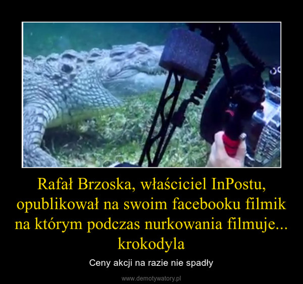 Rafał Brzoska, właściciel InPostu, opublikował na swoim facebooku filmik na którym podczas nurkowania filmuje... krokodyla – Ceny akcji na razie nie spadły 