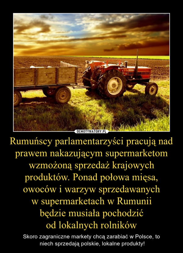Rumuńscy parlamentarzyści pracują nad prawem nakazującym supermarketom wzmożoną sprzedaż krajowych produktów. Ponad połowa mięsa, owoców i warzyw sprzedawanych
w supermarketach w Rumunii
będzie musiała pochodzić
od lokalnych rolników