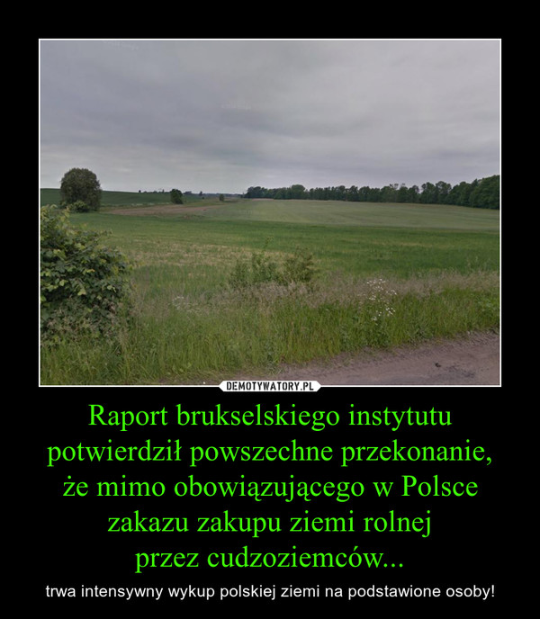 Raport brukselskiego instytutu potwierdził powszechne przekonanie,
że mimo obowiązującego w Polsce zakazu zakupu ziemi rolnej
przez cudzoziemców...