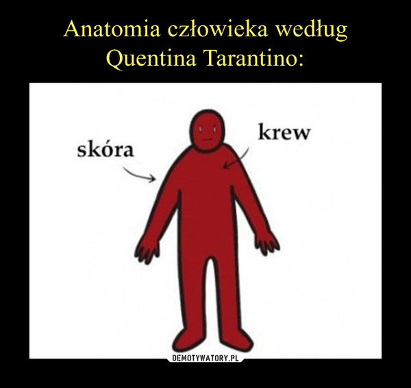 Anatomia człowieka według
Quentina Tarantino: