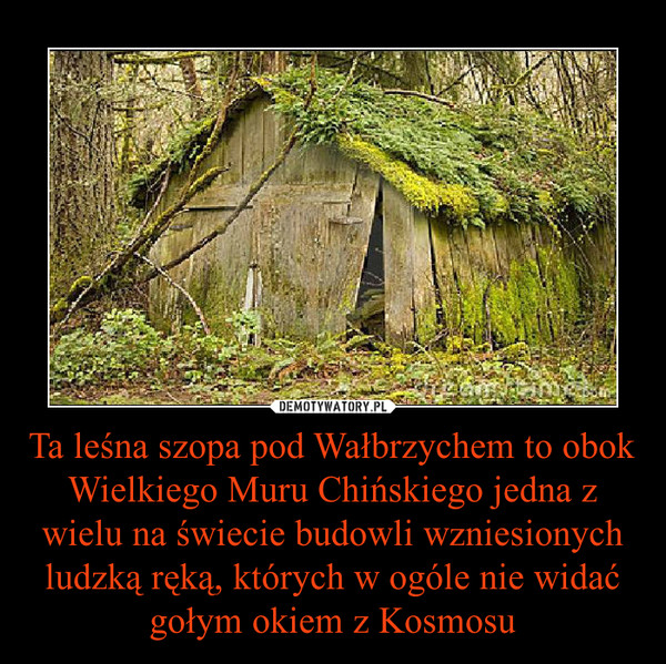 Ta leśna szopa pod Wałbrzychem to obok Wielkiego Muru Chińskiego jedna z wielu na świecie budowli wzniesionych ludzką ręką, których w ogóle nie widać gołym okiem z Kosmosu –  