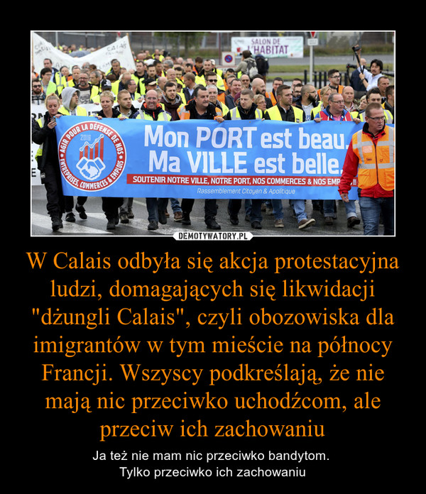 W Calais odbyła się akcja protestacyjna ludzi, domagających się likwidacji "dżungli Calais", czyli obozowiska dla imigrantów w tym mieście na północy Francji. Wszyscy podkreślają, że nie mają nic przeciwko uchodźcom, ale przeciw ich zachowaniu – Ja też nie mam nic przeciwko bandytom. Tylko przeciwko ich zachowaniu 