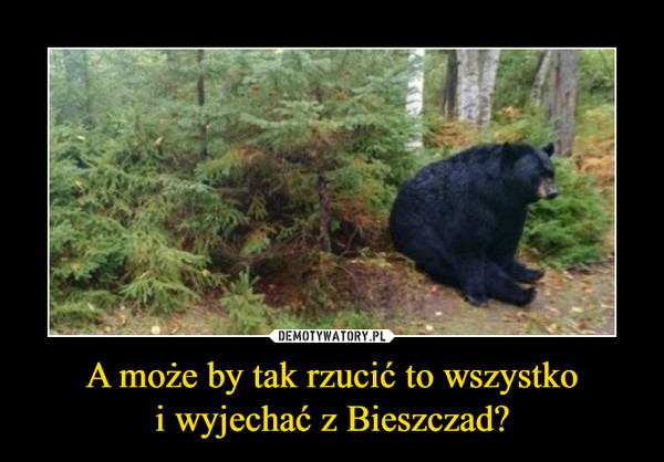 A może by tak rzucić to wszystkoi wyjechać z Bieszczad? –  