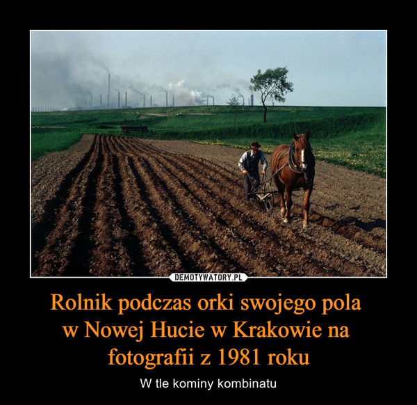 Rolnik podczas orki swojego pola w Nowej Hucie w Krakowie na fotografii z 1981 roku – W tle kominy kombinatu 