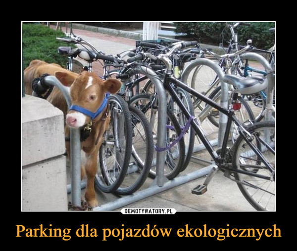 Parking dla pojazdów ekologicznych –  