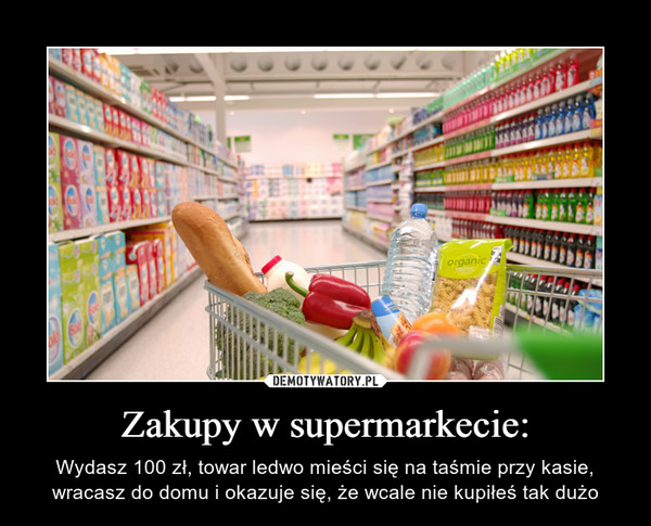 Zakupy w supermarkecie: – Wydasz 100 zł, towar ledwo mieści się na taśmie przy kasie, wracasz do domu i okazuje się, że wcale nie kupiłeś tak dużo 