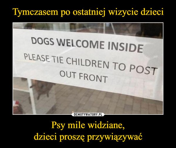 Psy mile widziane,dzieci proszę przywiązywać –  DOGS WELCOME INSIDEfront