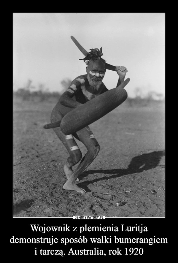Wojownik z plemienia Luritja demonstruje sposób walki bumerangiem i tarczą. Australia, rok 1920 –  