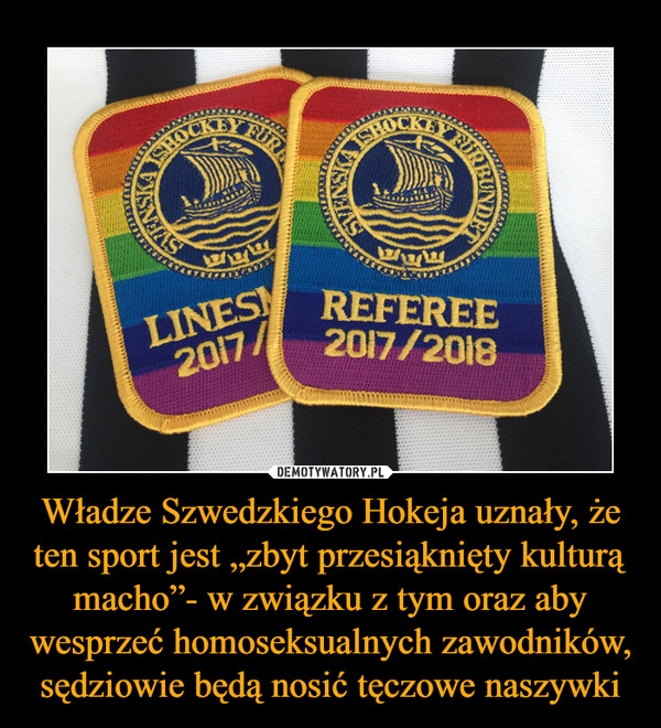 Władze Szwedzkiego Hokeja uznały, że ten sport jest „zbyt przesiąknięty kulturą macho”- w związku z tym oraz aby wesprzeć homoseksualnych zawodników, sędziowie będą nosić tęczowe naszywki