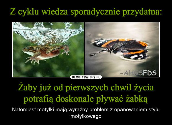 Z cyklu wiedza sporadycznie przydatna: Żaby już od pierwszych chwil życia potrafią doskonale pływać żabką