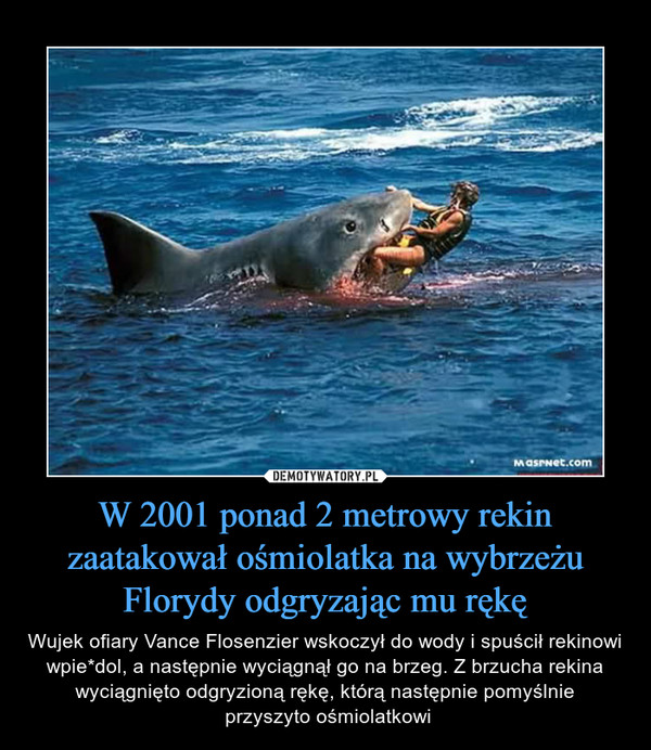 W 2001 ponad 2 metrowy rekin zaatakował ośmiolatka na wybrzeżu Florydy odgryzając mu rękę – Wujek ofiary Vance Flosenzier wskoczył do wody i spuścił rekinowi wpie*dol, a następnie wyciągnął go na brzeg. Z brzucha rekina wyciągnięto odgryzioną rękę, którą następnie pomyślnie przyszyto ośmiolatkowi 