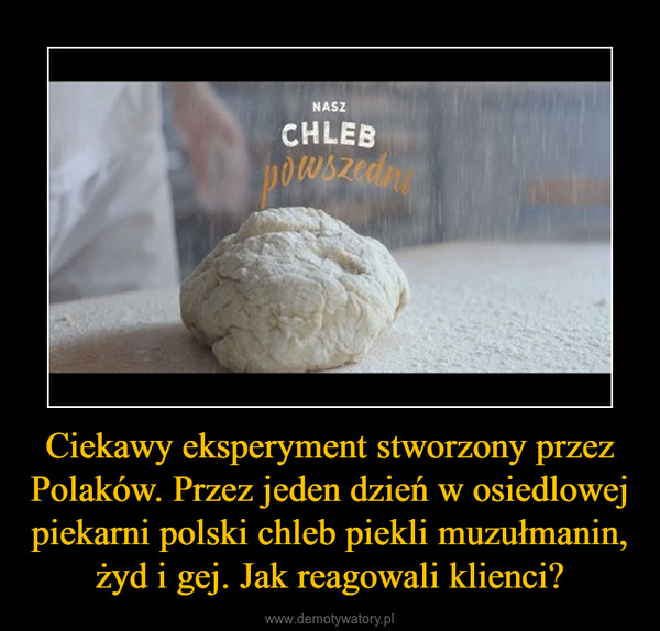 Ciekawy eksperyment stworzony przez Polaków. Przez jeden dzień w osiedlowej piekarni polski chleb piekli muzułmanin, żyd i gej. Jak reagowali klienci? –  