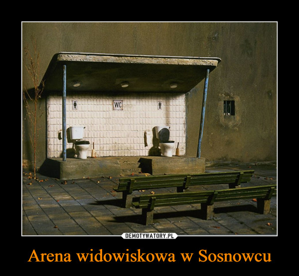 Arena widowiskowa w Sosnowcu –  