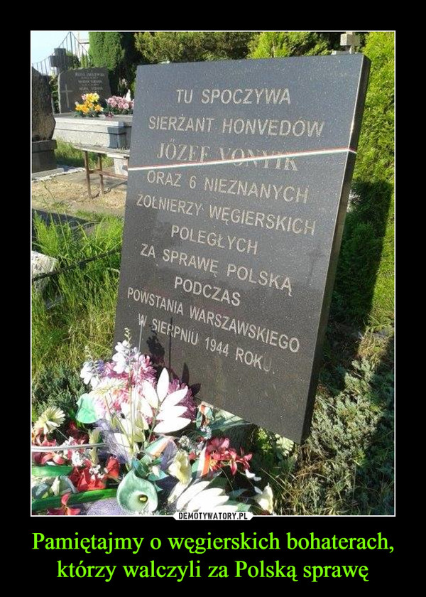 Pamiętajmy o węgierskich bohaterach, którzy walczyli za Polską sprawę –  tu spoczywa
