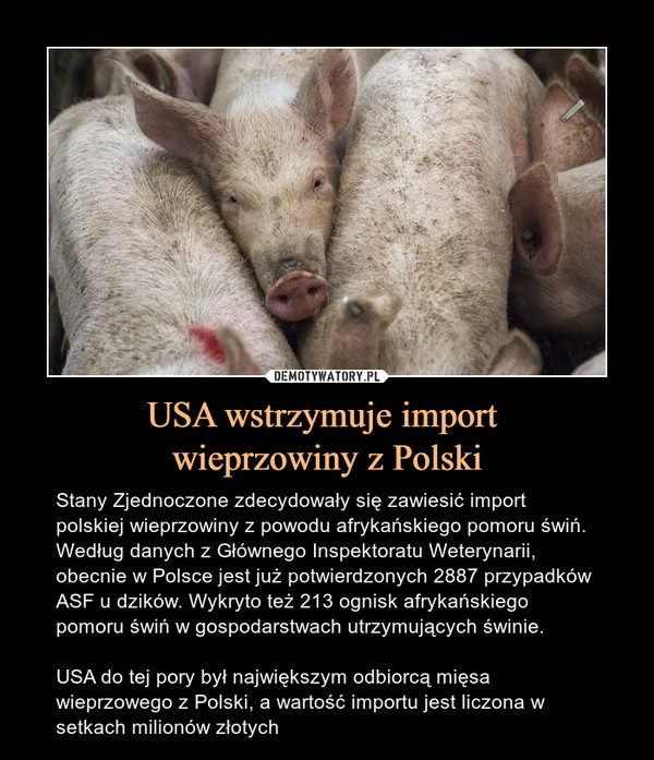 USA wstrzymuje import wieprzowiny z Polski – Stany Zjednoczone zdecydowały się zawiesić import polskiej wieprzowiny z powodu afrykańskiego pomoru świń. Według danych z Głównego Inspektoratu Weterynarii, obecnie w Polsce jest już potwierdzonych 2887 przypadków ASF u dzików. Wykryto też 213 ognisk afrykańskiego pomoru świń w gospodarstwach utrzymujących świnie. USA do tej pory był największym odbiorcą mięsa wieprzowego z Polski, a wartość importu jest liczona w setkach milionów złotych 