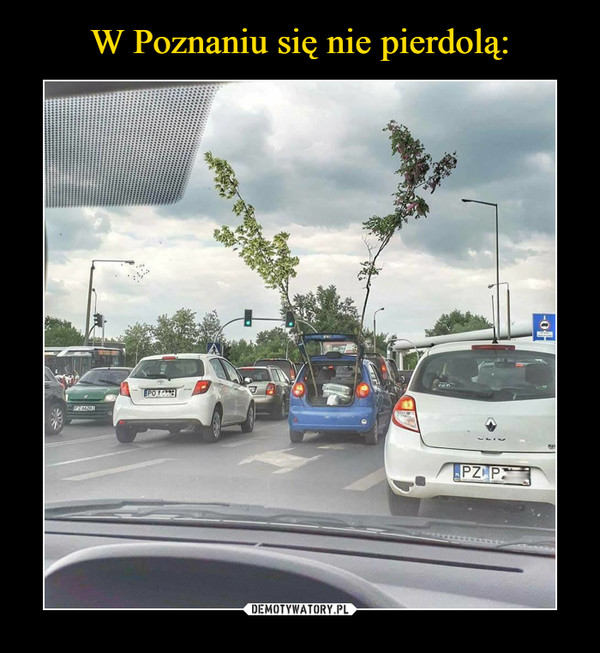 W Poznaniu się nie pierdolą: