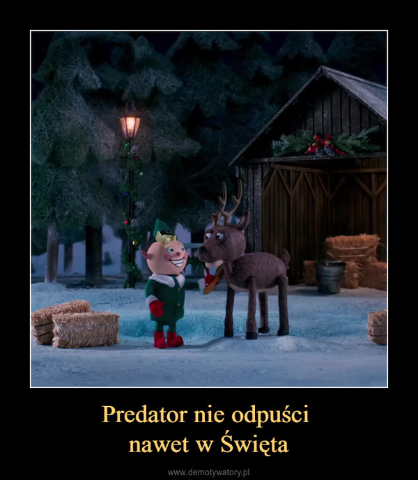 Predator nie odpuści nawet w Święta –  