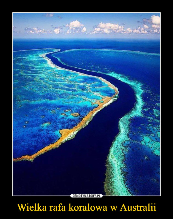 Wielka rafa koralowa w Australii