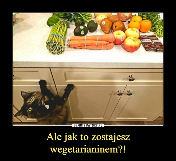 Ale jak to zostajesz wegetarianinem?! –  