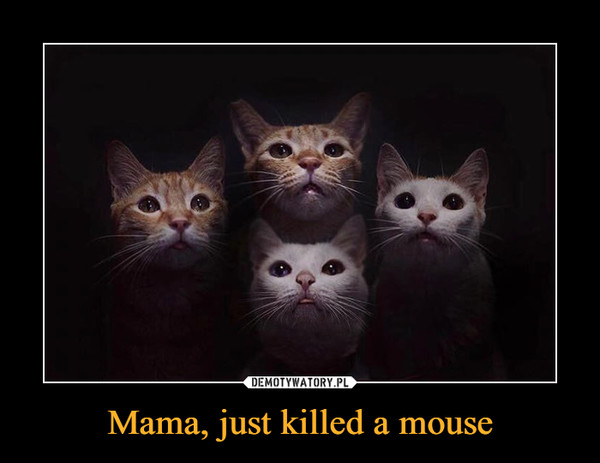 Mama, just killed a mouse