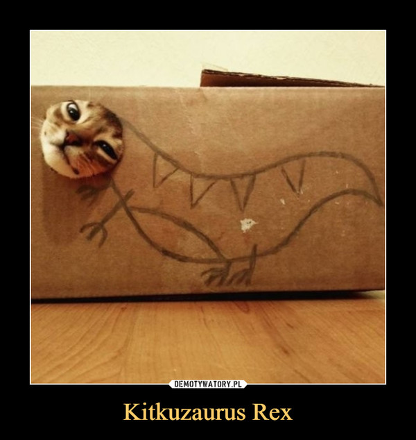 Kitkuzaurus Rex –  
