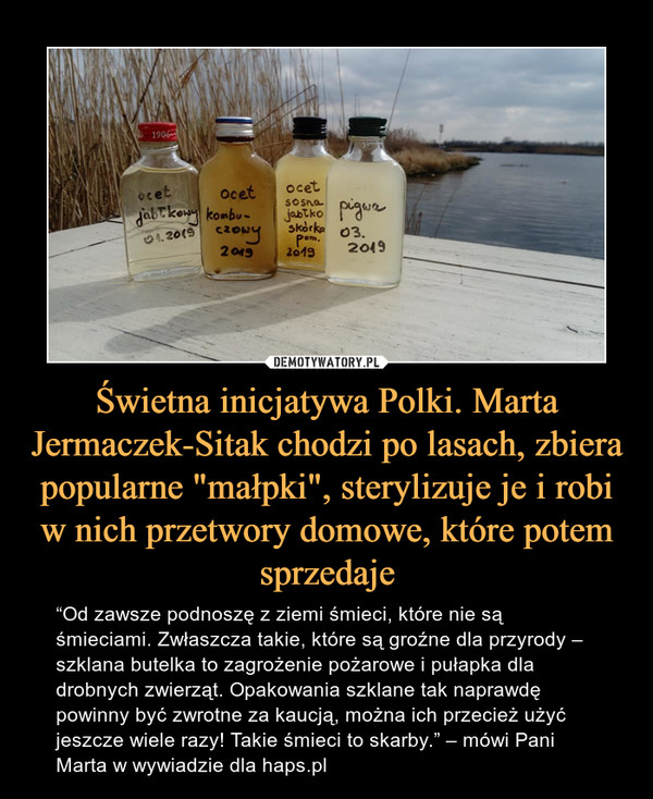 Świetna inicjatywa Polki. Marta Jermaczek-Sitak chodzi po lasach, zbiera popularne "małpki", sterylizuje je i robi w nich przetwory domowe, które potem sprzedaje