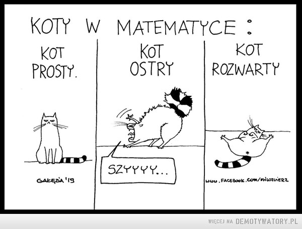 Koty w matematyce –  Koty w matematyce Kot prosty Kot Ostry Kot rozwarty
