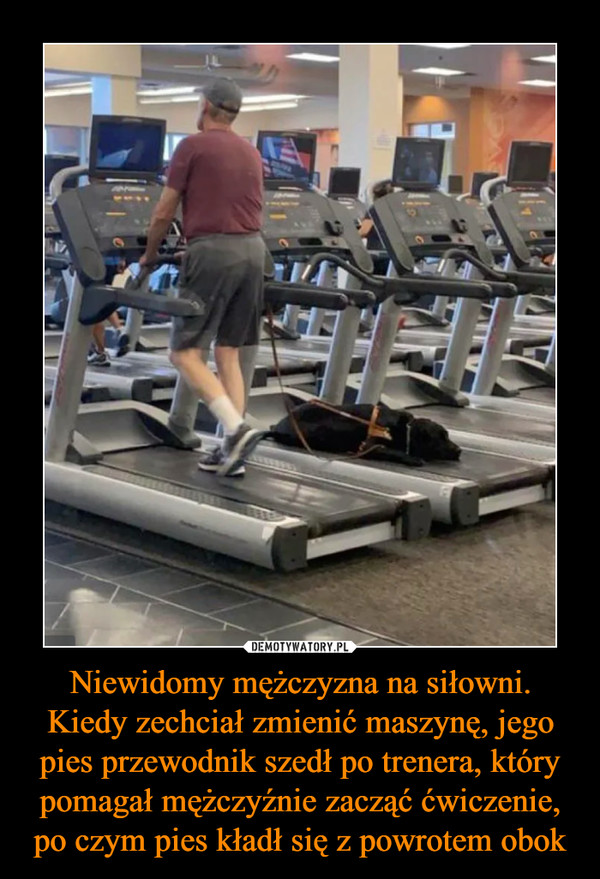 Niewidomy mężczyzna na siłowni. Kiedy zechciał zmienić maszynę, jego pies przewodnik szedł po trenera, który pomagał mężczyźnie zacząć ćwiczenie, po czym pies kładł się z powrotem obok