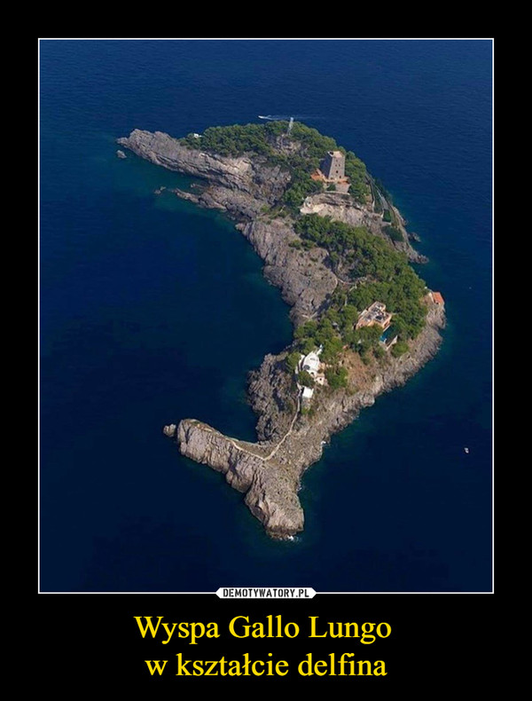 Wyspa Gallo Lungo w kształcie delfina –  