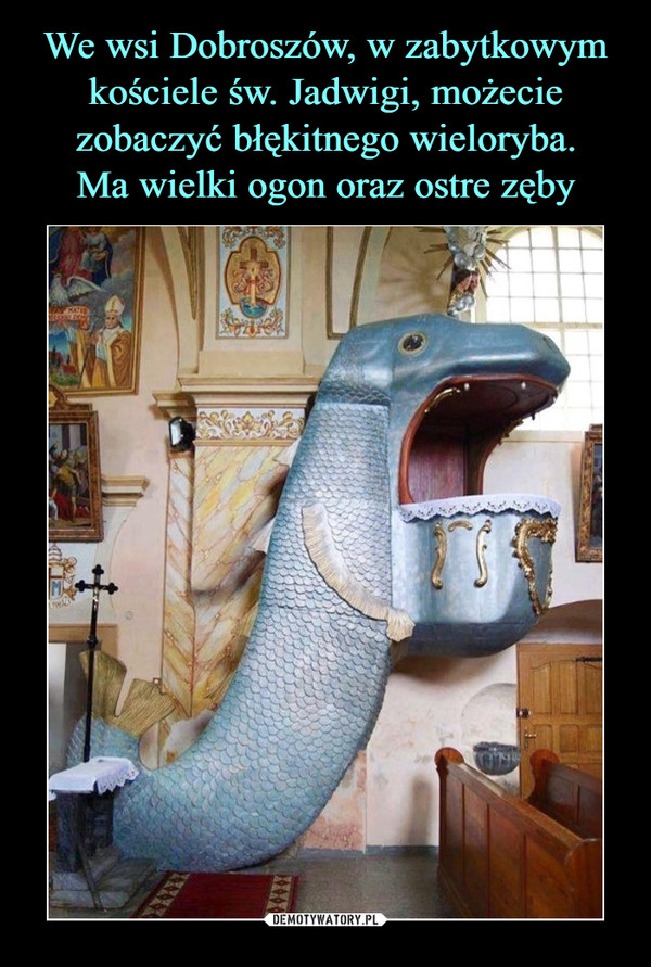 We wsi Dobroszów, w zabytkowym kościele św. Jadwigi, możecie zobaczyć błękitnego wieloryba.
Ma wielki ogon oraz ostre zęby