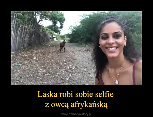 Laska robi sobie selfie z owcą afrykańską –  