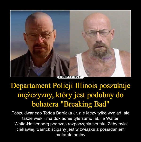 Departament Policji Illinois poszukuje mężczyzny, który jest podobny do bohatera "Breaking Bad" – Poszukiwanego Todda Barricka Jr. nie łączy tylko wygląd, ale także wiek - ma dokładnie tyle samo lat, ile Walter White-Heisenberg podczas rozpoczęcia serialu. Żeby było ciekawiej, Barrick ścigany jest w związku z posiadaniem metamfetaminy 
