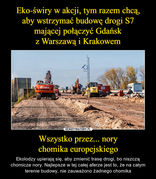 Eko-świry w akcji, tym razem chcą,
aby wstrzymać budowę drogi S7
mającej połączyć Gdańsk
z Warszawą i Krakowem Wszystko przez... nory
chomika europejskiego