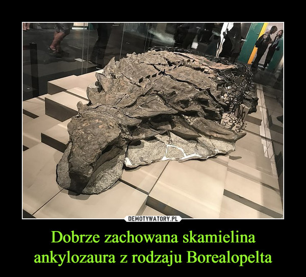 Dobrze zachowana skamielina ankylozaura z rodzaju Borealopelta –  